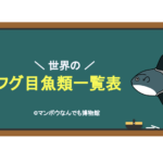 マンボウなんでも博物館