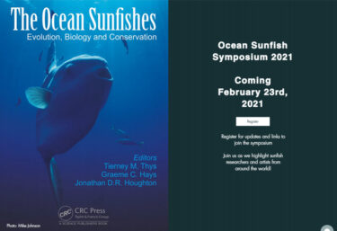 マンボウ国際シンポジウム「Ocean Sunfish Symposium 2021」開催のお知らせ