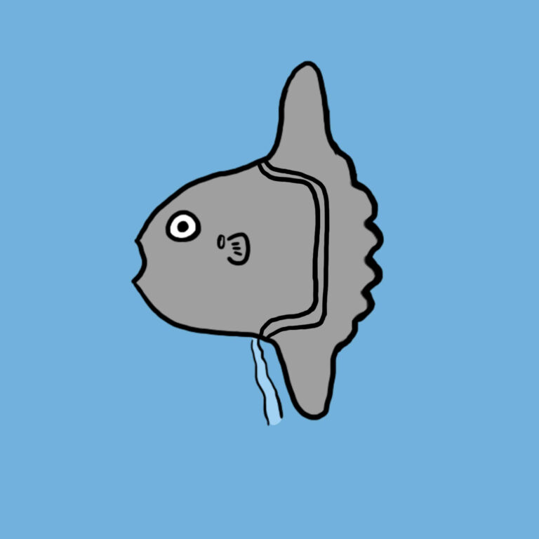 マンボウの おしっこ 尿 が世界で初めて撮影される マンボウなんでも博物館 マンボウの おしっこ 尿 が世界で初めて撮影される マンボウなんでも博物館